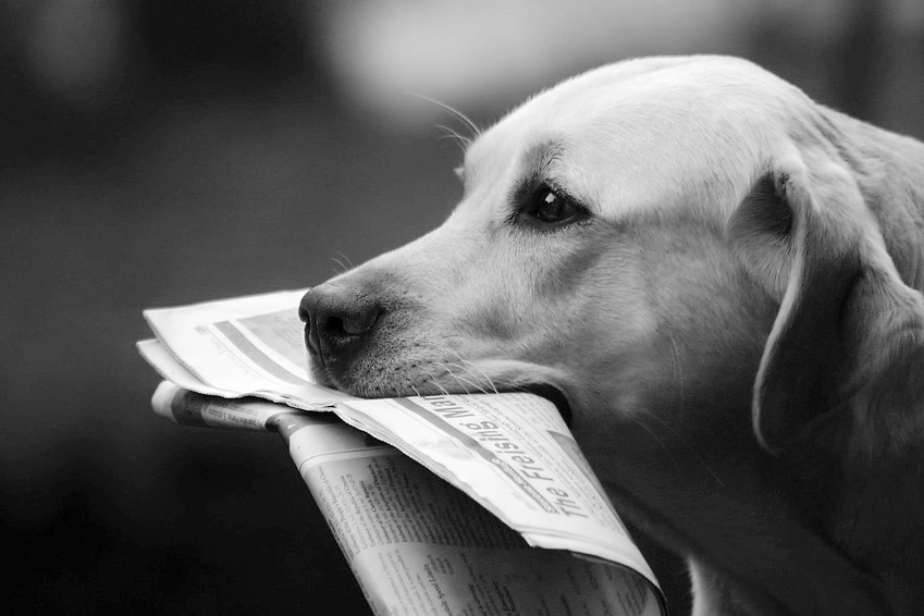 Lab and News