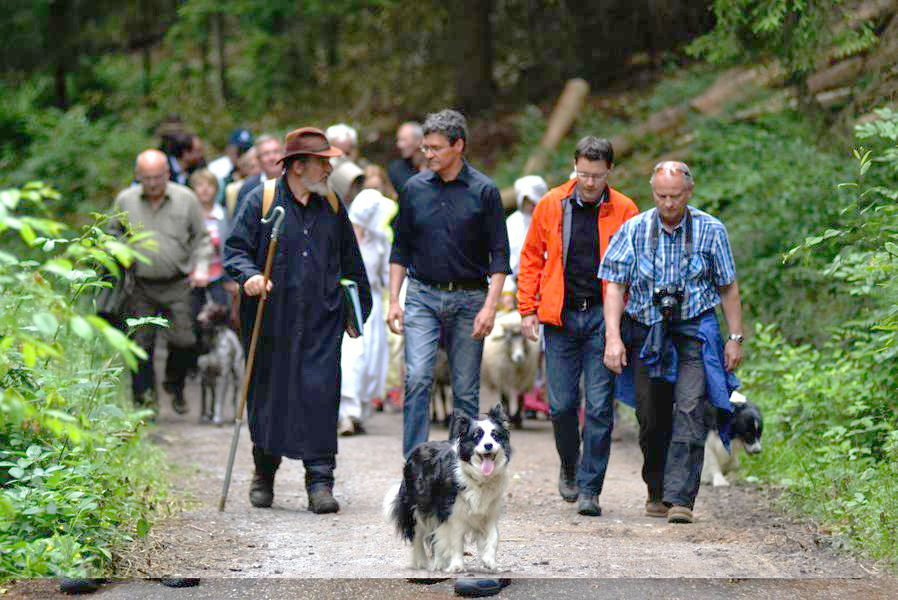 Schaefertrail_02